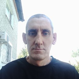 �������, ���������, 46 ���