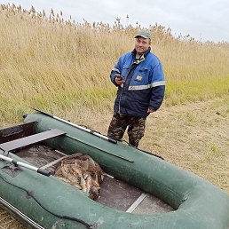 ����, ����������, 37 ���