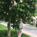 ���� �����, ����, 62 ���� - ��������� 12 ���� 2026 � ������ ���� ����������