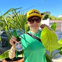 ���� ��������, ������, 31 ��� - ��������� 4 ������ 2024