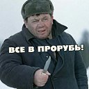 ���� ����, �����, 49 ��� - ��������� 19 ������ 2026