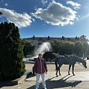 ���� �����, ���������, 36 ��� - ��������� 17 ������� 2024 � ������ ���� ����������