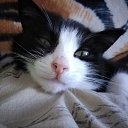 ���� Xxx, ������, 53 ���� - ��������� 15 ������ 2025 � ������ ������ ��������