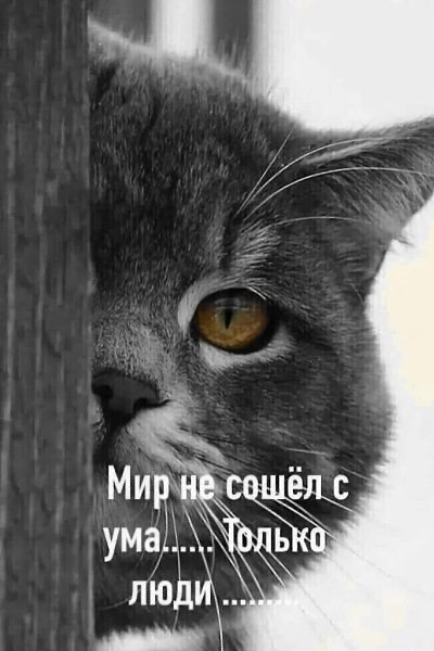 ������� � �������...
