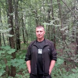, 44, ,  