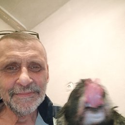, 61,  