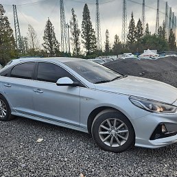 ����, ������