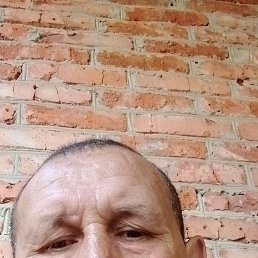 , 46, 