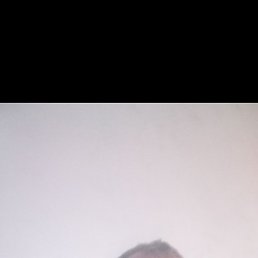 �������, �������, 45 ���