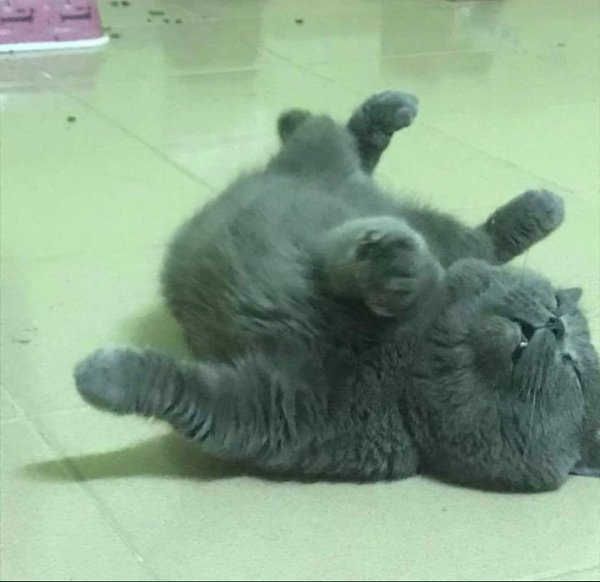   .   ,   ,   ,   ,  ,    ... - 4