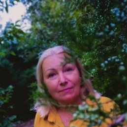 , 58, 