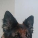 ���� �������, �������, 60 ��� - ��������� 20 ������ 2025 � ������ ���� ����������