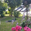 ���� ����, ��������� - ��������� 19 ���� 2026 � ������ ������ ��������