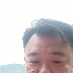 Wolf, 44, -