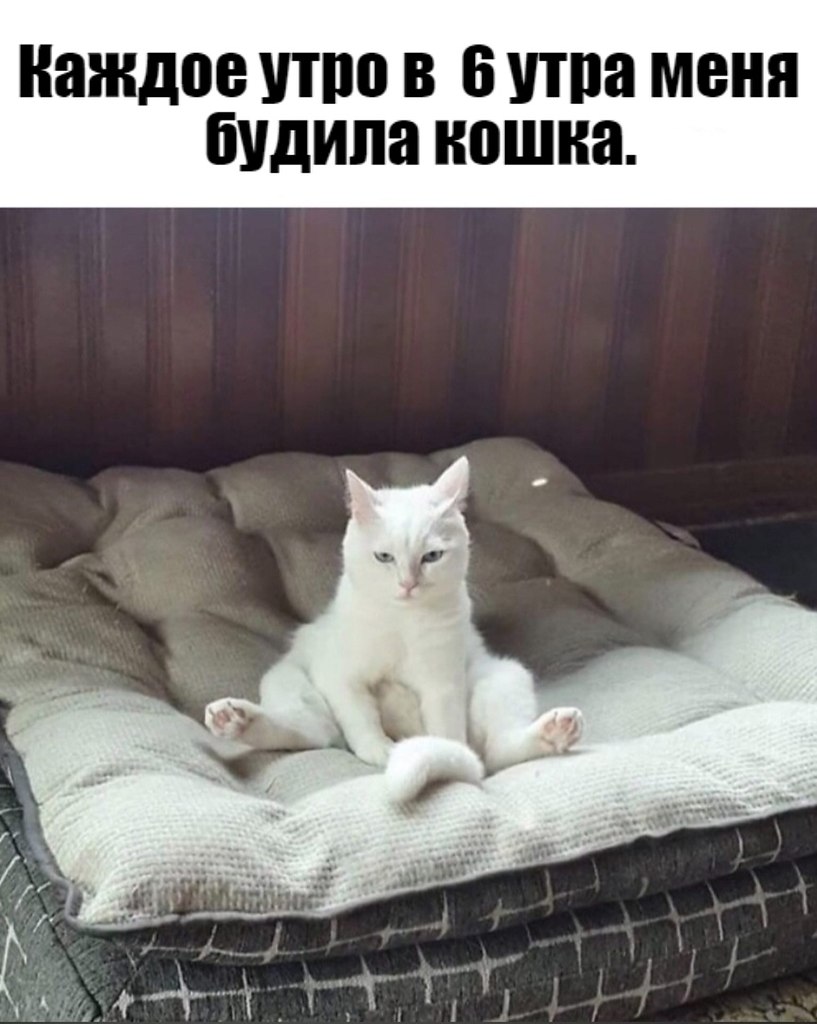       - 28  2025  12:32