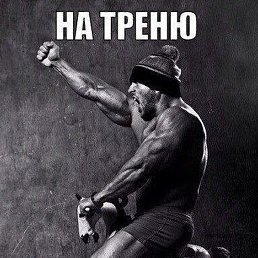 Ellis, �������, 43 ����