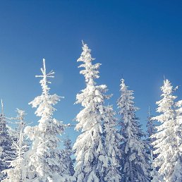 ����, ������, 46 ���