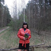 ���, , �����