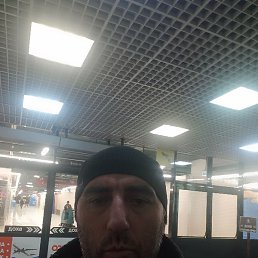 ����, ������, 41 ���