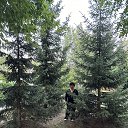 ���� �����, ������, 65 ��� - ��������� 12 �������� 2025 � ������ ���� ����������