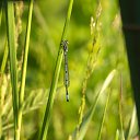 ���� ����� 🎗, ������ - ��������� 22 ������� 2026 � ������ ���� �����������