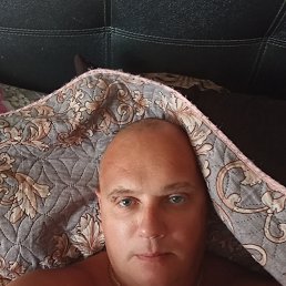 ���� ������, ������� ��������, 39 ��� - ��������� 22 ������ 2026