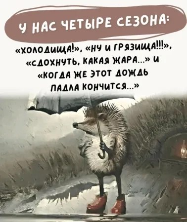  - 12  2024  23:31
