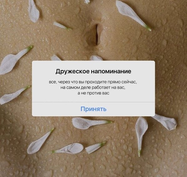 � ��� ��� ����� ������:
