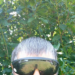 ���� �������, ����-�����������, 49 ��� - ��������� 12 ������ 2026