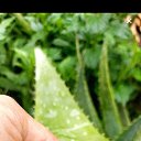 ���� ������, ������, 20 ��� - ��������� 19 ������� 2024 � ������ ���� ����������