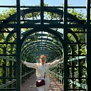 ���� ������, ������, 46 ��� - ��������� 8 �������� 2025 � ������ ���� ����������