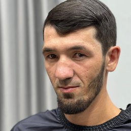 �����, ���������������, 43 ����