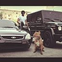 ���� Emil, ����, 30 ��� - ��������� 7 ���� 2024 � ������ ���� ����������