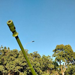 ��������, ������, 35 ���