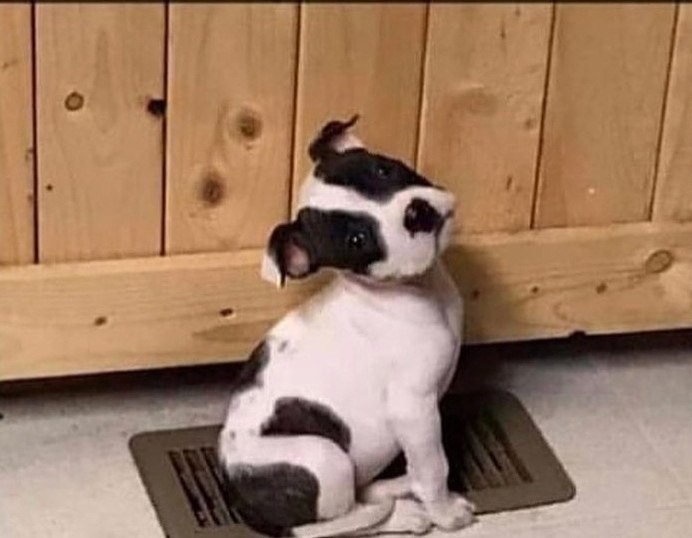 ����� ����� ����� ����� �����