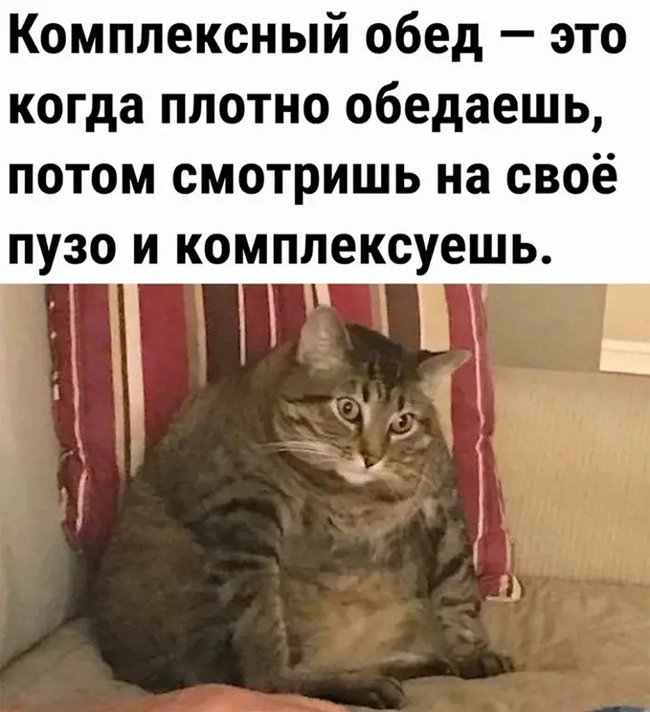 ☆ ☆ - 9  2025  04:24