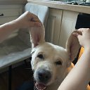 ���� �����, ���� - ��������� 6 ���� 2024 � ������ ������