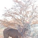 ���� �������, �������, 30 ��� - ��������� 6 ������� 2024 � ������ ���� ����������