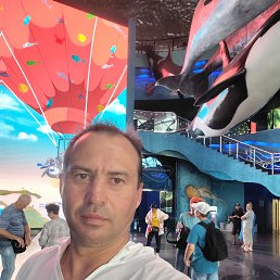 , 43 , 