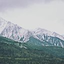 ���� ��������, ����-���, 42 ���� - ��������� 8 ��� 2025 � ������ ������ ��������