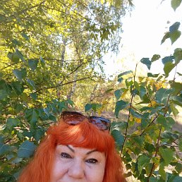 ���� �������, �����, 57 ��� - ��������� 24 ����� 2026