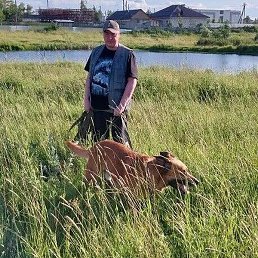 �������, ����, 39 ���