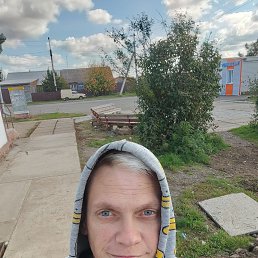 ����, 36 ���, ����������