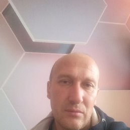 , 41 , 