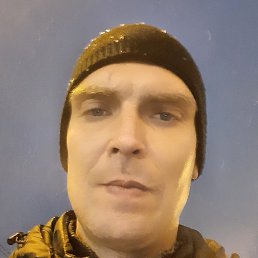 �������, ������, 41 ���