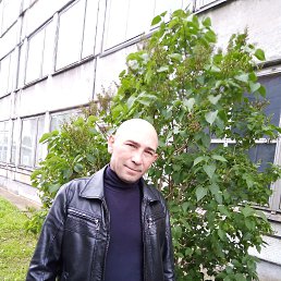 , 49, 