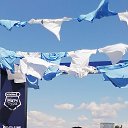 ���� �����, ������, 37 ��� - ��������� 7 �������� 2024 � ������ ���� ����������