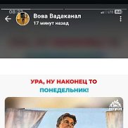 �����, 43 ����, ���������