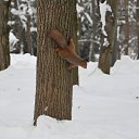 ���� ������ ����, ������, 49 ��� - ��������� 17 ������ 2026 � ������ ������ ��������