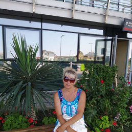 ���� �����, ������������, 67 ��� - ��������� 8 ������ 2026